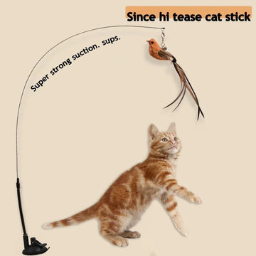 Bird Cat Teaser Wand with Suction Cup Base