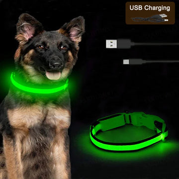 Rechargeable LED Dog Collar with 3 Light Modes