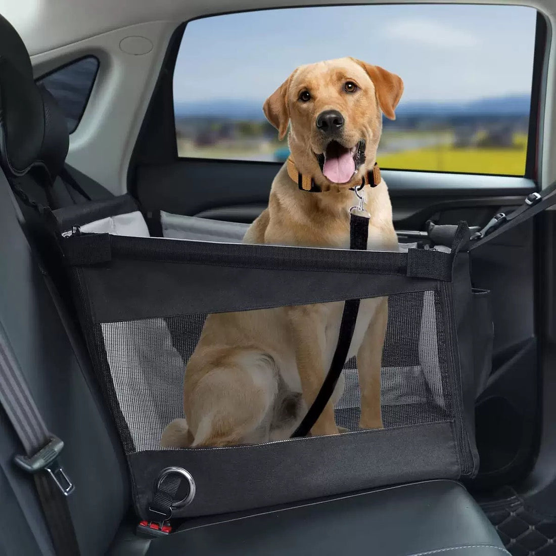 HappyPaws™ Car Seat