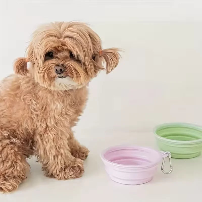 Collapsible Silicone Travel Bowl for Dogs & Cats