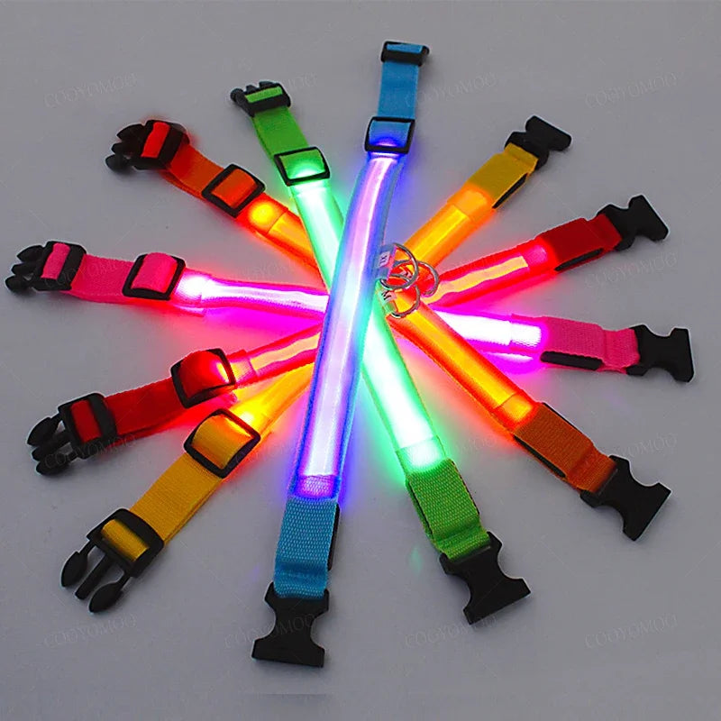 Rechargeable LED Dog Collar with 3 Light Modes