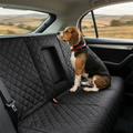 Beagle riding on the quilted dog back seat cover during a road trip